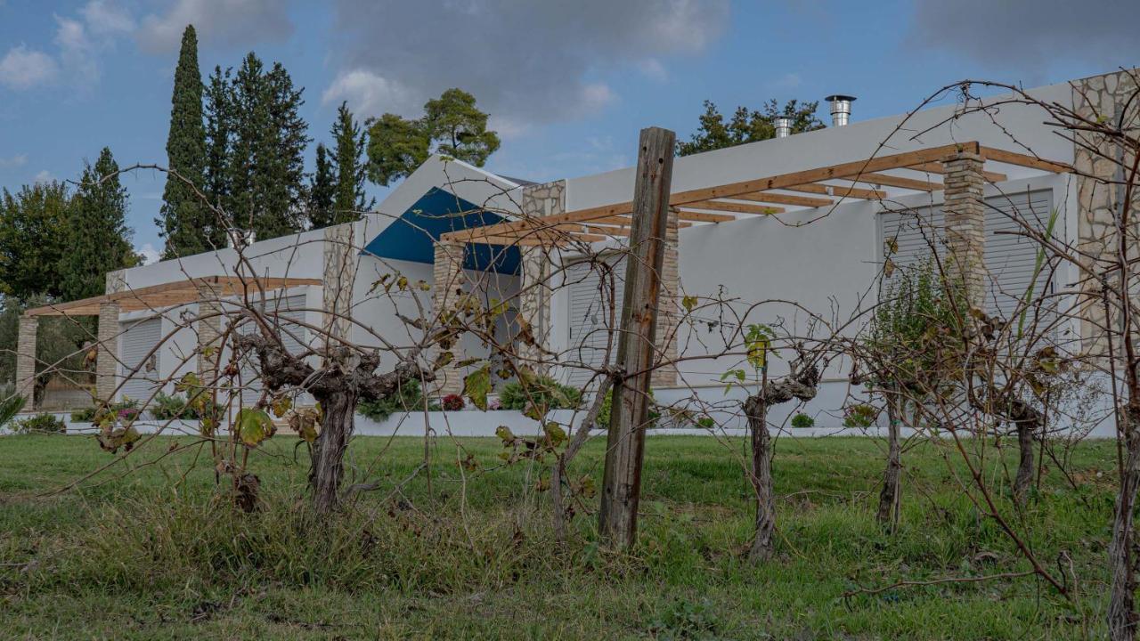 Atrium Vinea Brintziki Winery Apartamento Smila Exterior foto