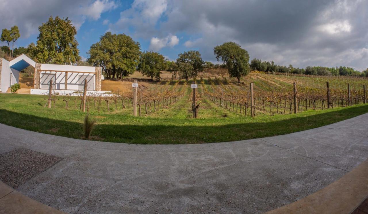 Atrium Vinea Brintziki Winery Apartamento Smila Exterior foto